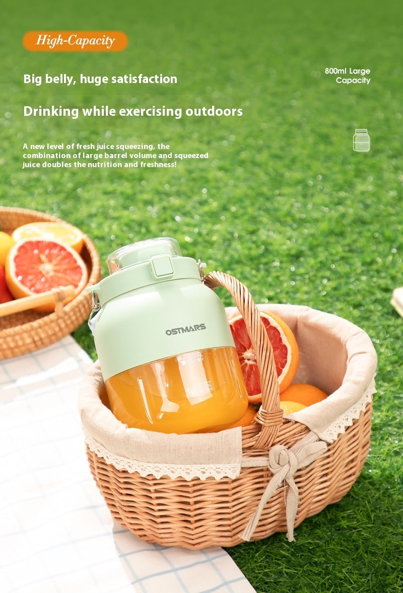 Portable Small Fruit Blender