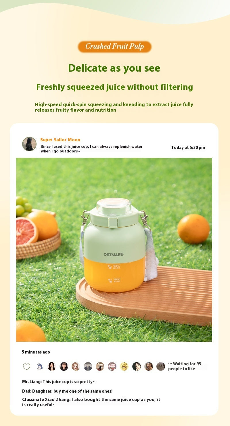 Portable Small Fruit Blender