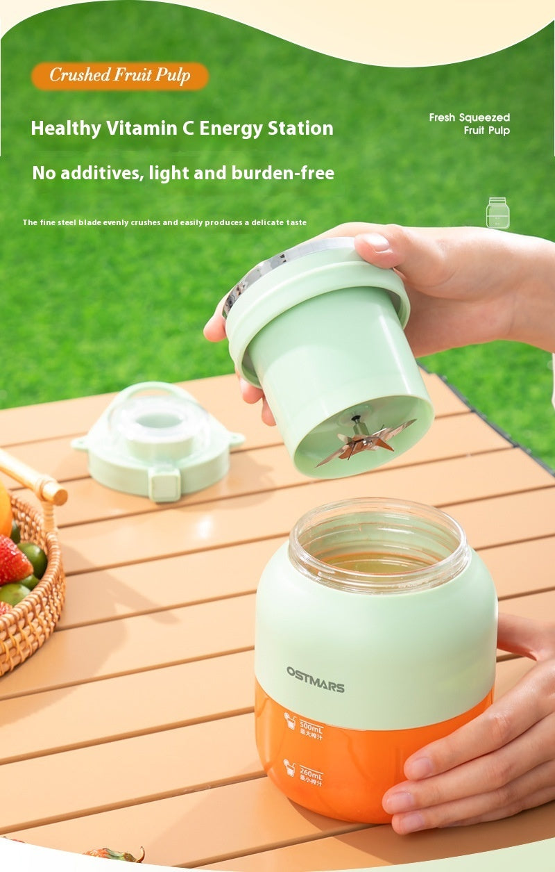Portable Small Fruit Blender