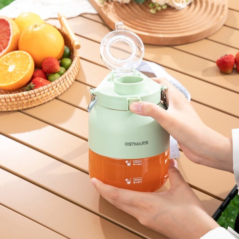 Portable Small Fruit Blender
