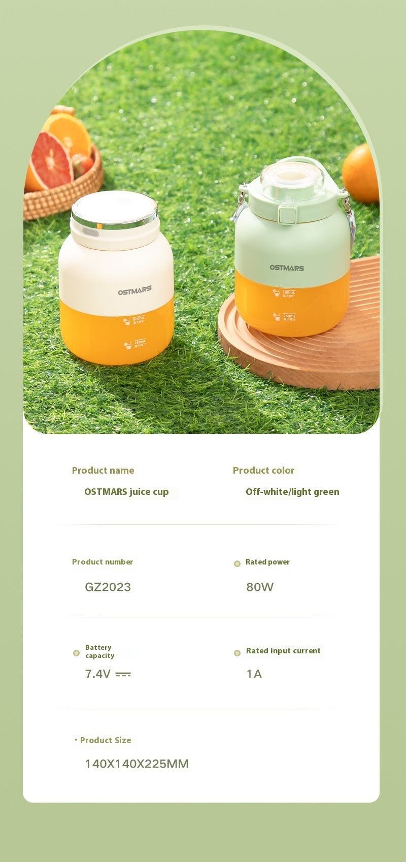 Portable Small Fruit Blender